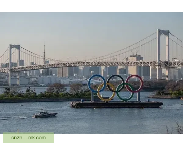 塞鸟正式加盟国足出战世预赛引发球迷热议与期待